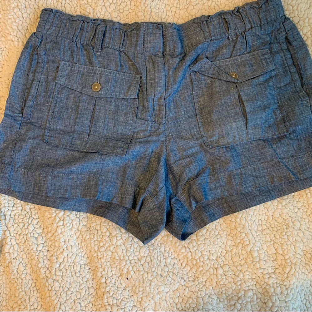 Shorts - Loft